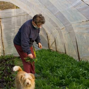 Teresa e Zara raccolgono la rucola