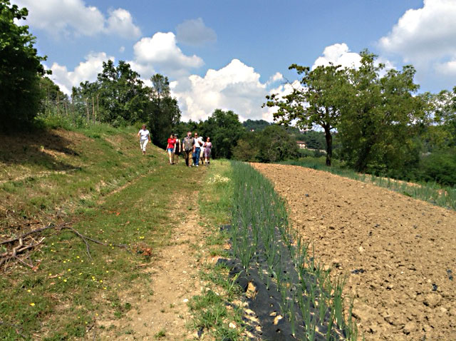 Azienda agricola