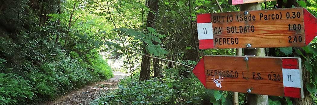 Passeggiata nel parco con pic-nic!